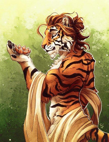 Фурри тигра