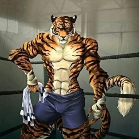 Фурри тигра