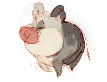 Свинка референс