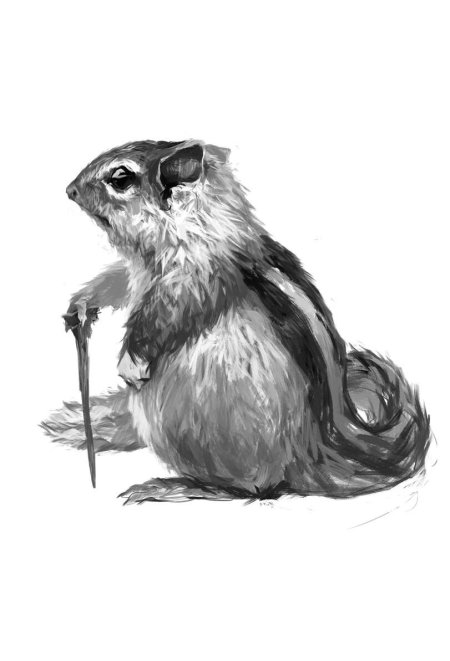 Бурундук рисунок карандашом