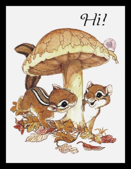 Бурундук рисунок