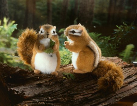 Теодор бурундук