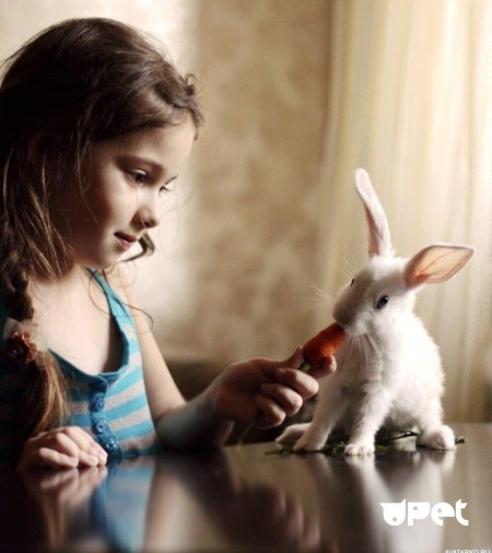 Девушка кролик