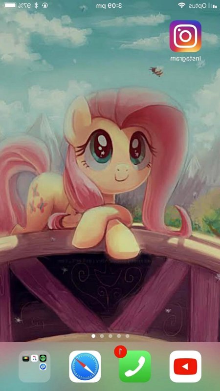 МЛП Флаттершай