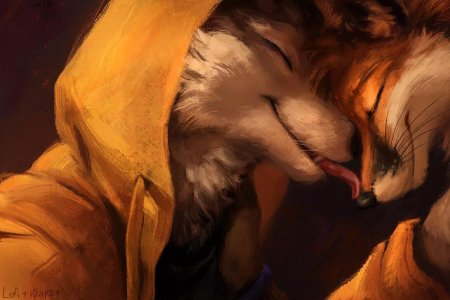 Фурри Лис kenket