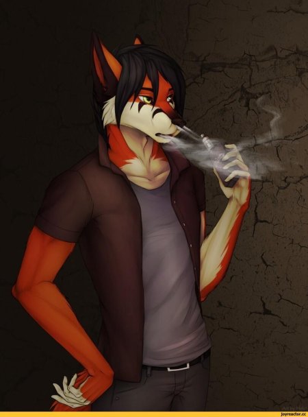 Фурри парни