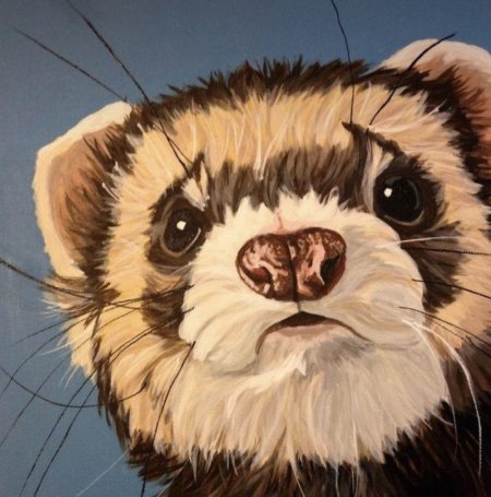 Хорек живопись