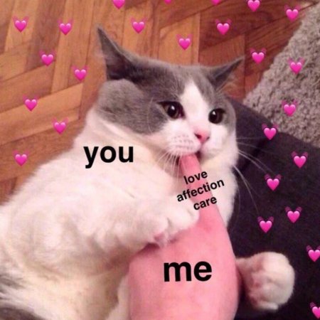 Пикчи котов