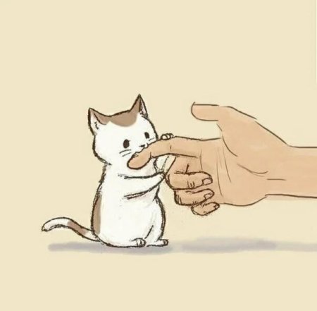 Котик рисунок