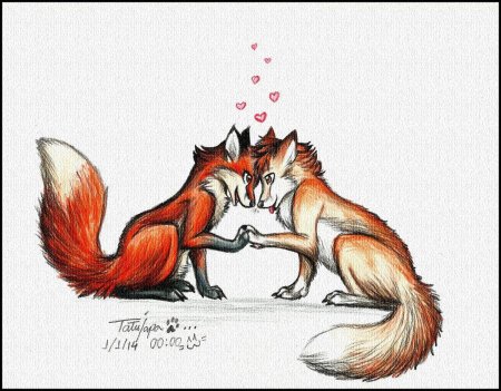 Лиса рисунок