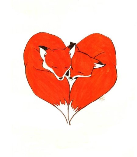 Лиса любовь