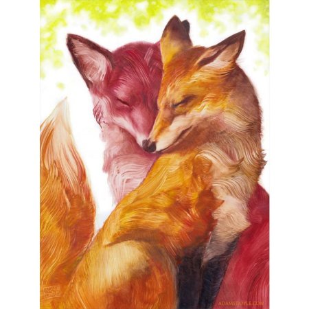 Лисы кульпео Фокс