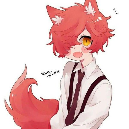 Аниме неко кун Лис