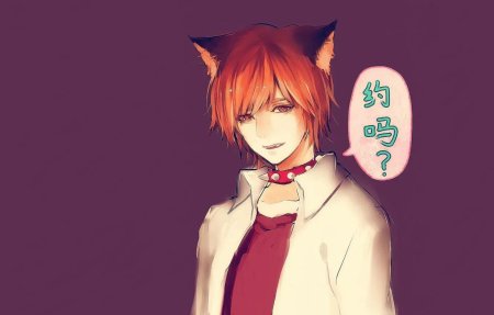 Аниме неко кун Лис