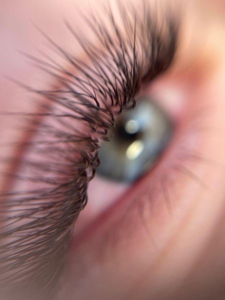 Ресницы Макросъемка