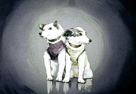 Картина белка и стрелка в космосе