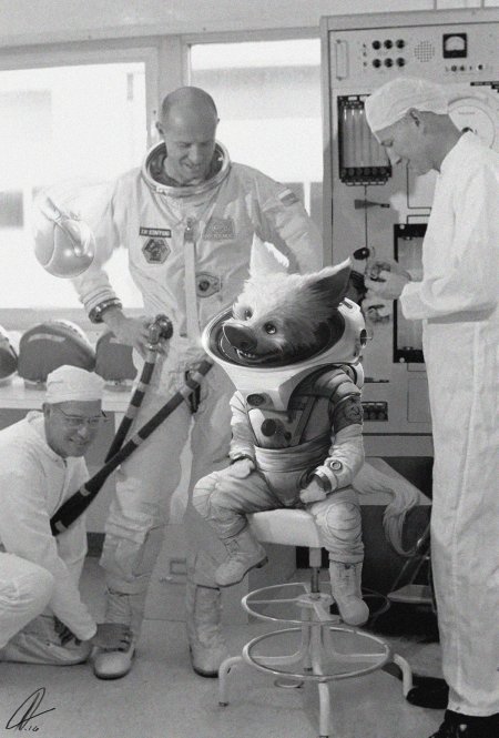 Белка и стрелка в скафандрах