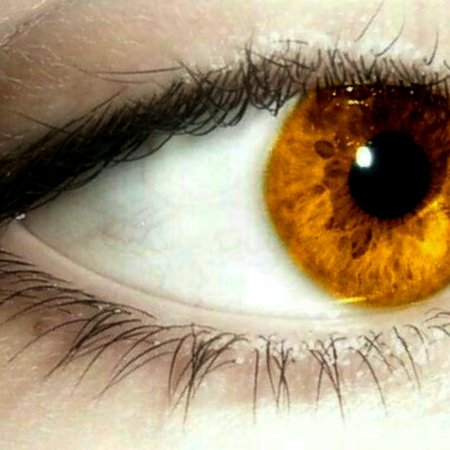 Глаза цвета янтаря