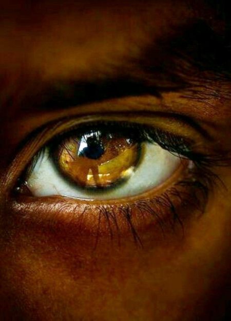 Янтарные глаза