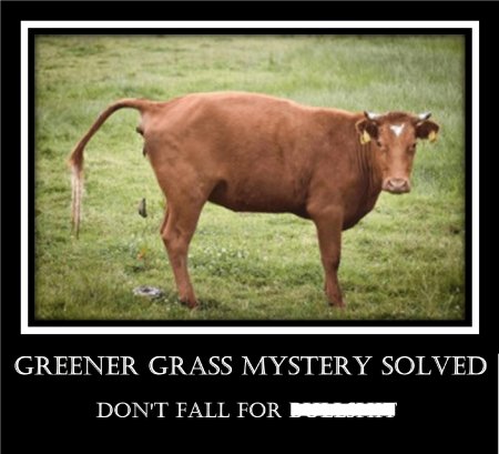 Вегетарианец прикол