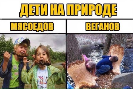 Шутки про веганов в картинках