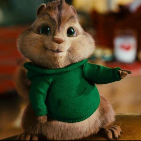 Теодор бурундук