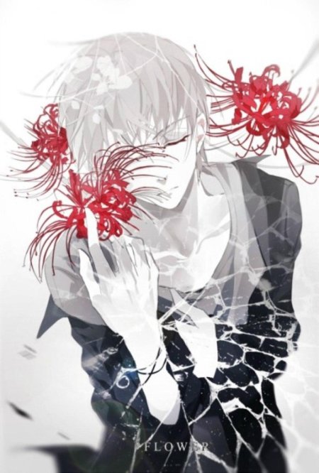 Ликорисы Токийский гуль