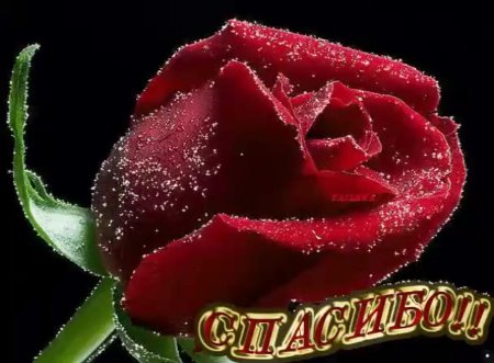 Руза гуллар