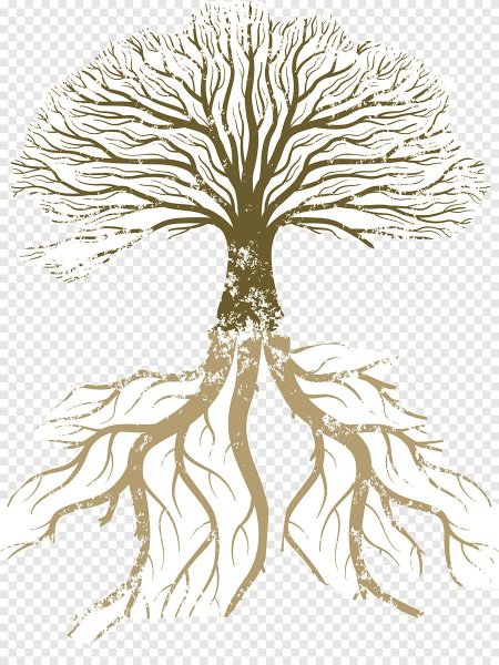 Родовое Древо корни рода