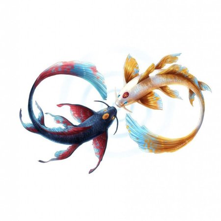 Рыбки кои Инь Янь