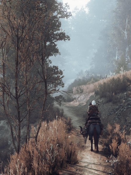 Ведьмак 3: Дикая охота