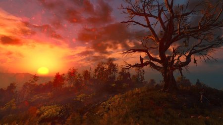 Ведьмак 3: Дикая охота