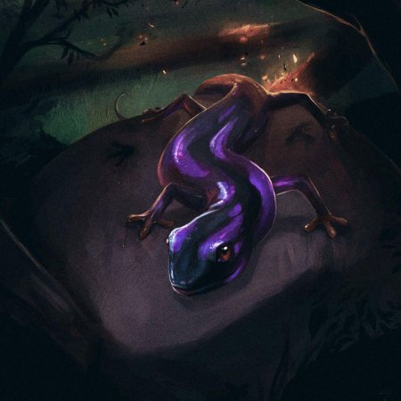 Тритон Огненная саламандра