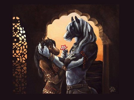 Влюбленные лошади