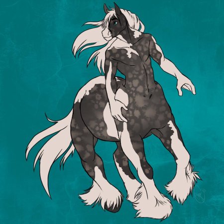 Чаката фурри