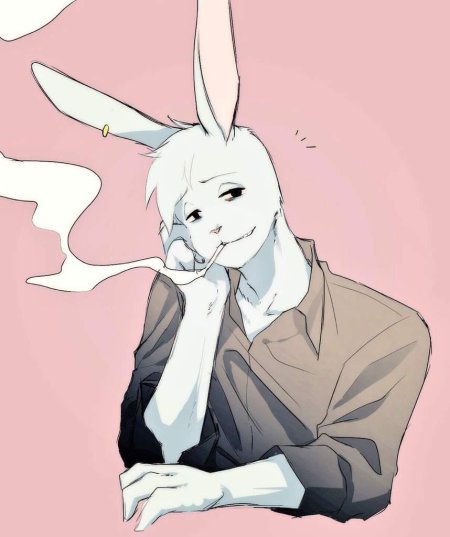 Фурри кролик