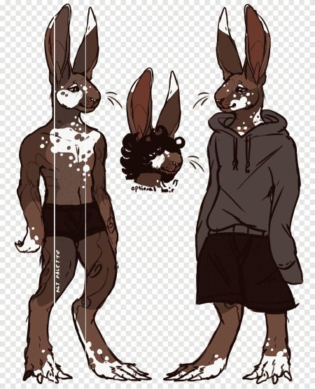 Фурсона заяц