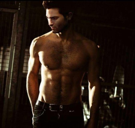 Дерек Хейл торс