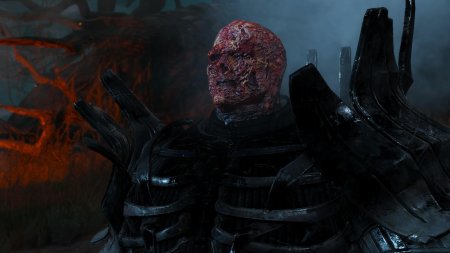 Имлерих Ведьмак 3