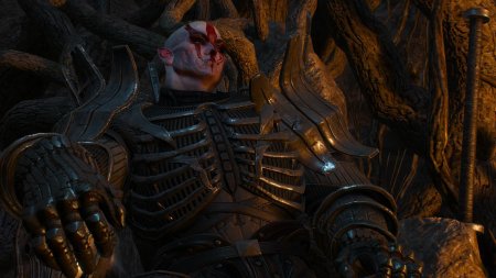 Имлерих Ведьмак 3