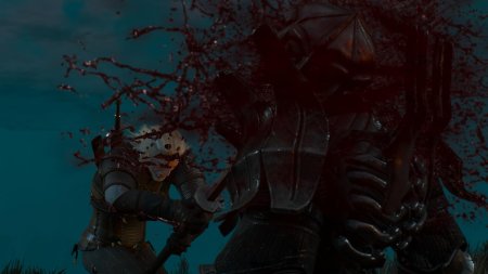 Имлериха Ведьмак 3