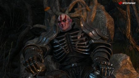 Ведьмак Дикая охота Имлерих