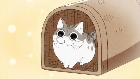 Вечера с кошкой аниме