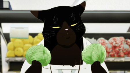 Юкичи кот мастер