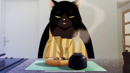 Юкичи кот мастер