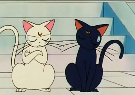 Сейлормун кот Артемис