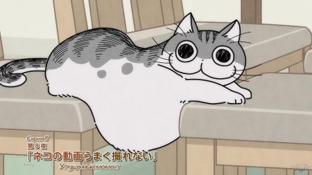 Вечера с кошкой аниме