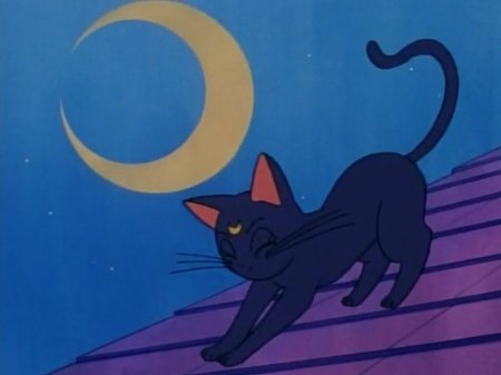 Сейлормун кошка Луна