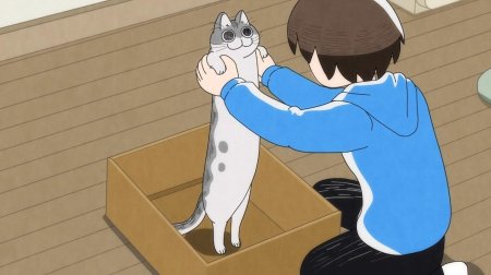 Вечера с котиком аниме