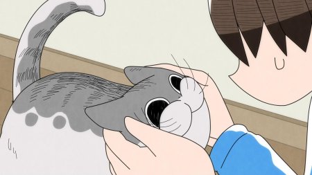 Вечера с кошкой аниме